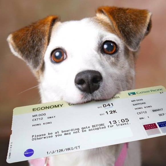 Foto de Life Travel 